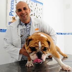 Dr. Fernando Almeida