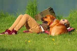 Cachorro: Ajudam você a ser mais social